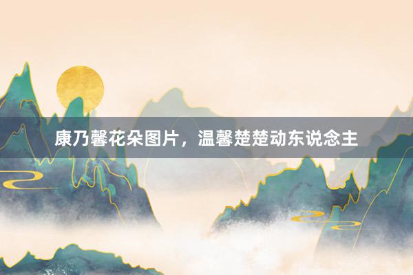 康乃馨花朵图片,温馨楚楚动东说念主