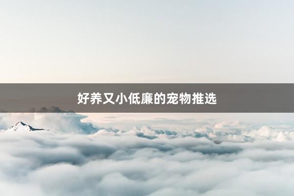 好养又小低廉的宠物推选