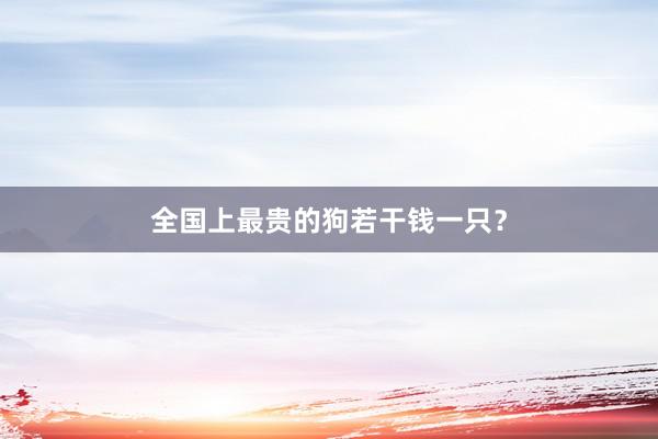 全国上最贵的狗若干钱一只?